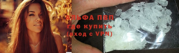 spice Богданович