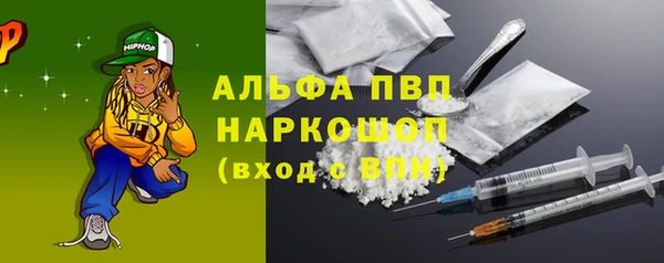спиды Бородино