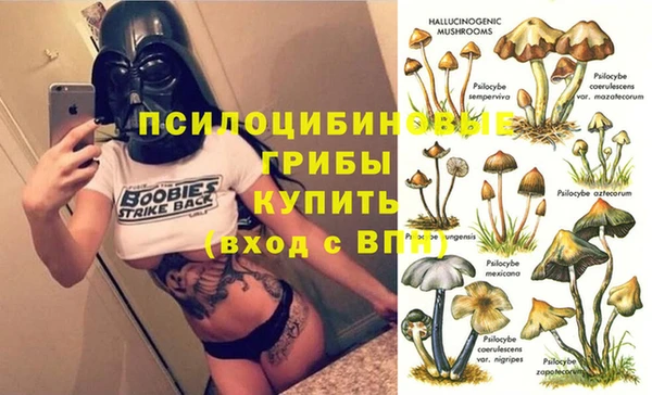 spice Богданович