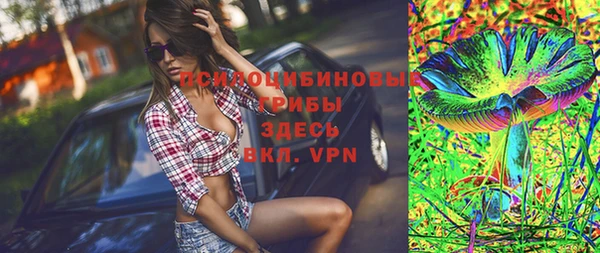 МДПВ Богородицк