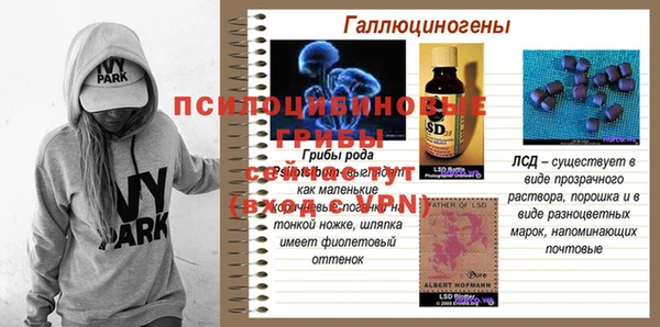 ПСИЛОЦИБИНОВЫЕ ГРИБЫ Богородск