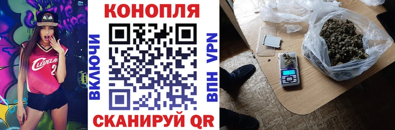 Шишки марихуана марихуана  дарк нет клад  Данилов 
